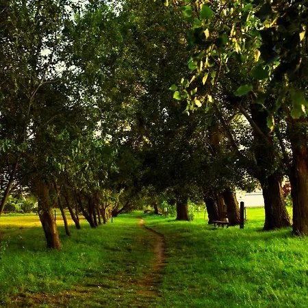Baie Du Mont Michel, Optez Pour Notre 